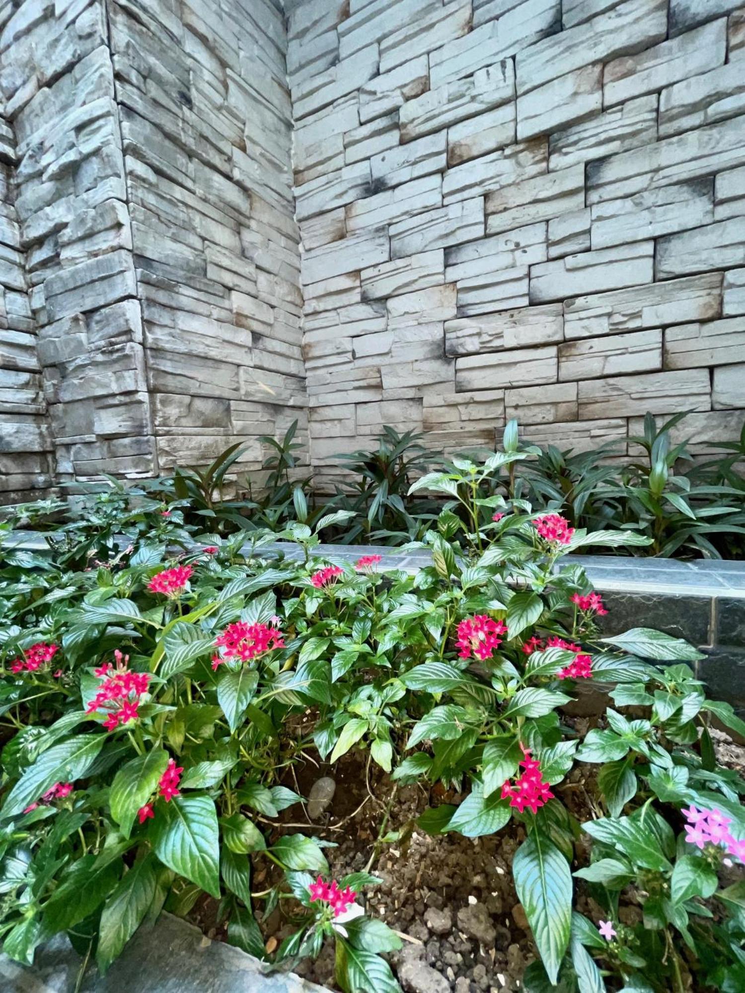 Hotel Simon 麦德林 外观 照片
